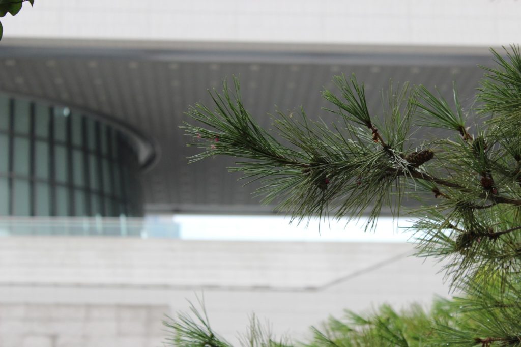 National Museum of Korea